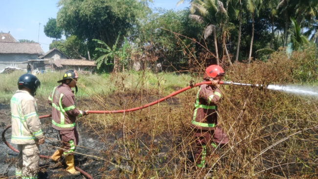 Petugas sedang memadamkan api di Dusun Tejowarno, Desa Tamanagung, Muntilan, pada hari Minggu, 13 Agustus 2023, Foto: Yoga Subarkah/DamkarKabMgl