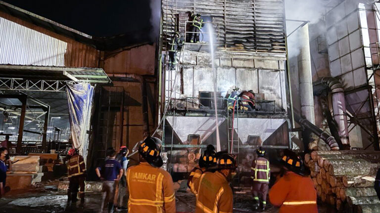 Diduga Penampung Serbuk Kayu Terkena Percikan Api, Pabrik Kayu Lapis Terbakar di Tempuran