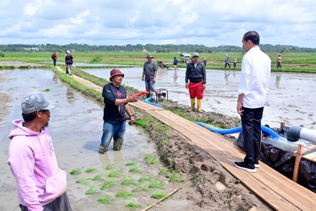 Presiden Joko Widodo meninjau langsung pelaksanaan pemberian bantuan 300 unit pompa untuk pengairan sawah dan pertanian (pompanisasi) di Desa Jaling, Kabupaten Bone, Provinsi Sulawesi Selatan, pada Kamis, 4 Juli 2024. Foto: BPMI Setpres