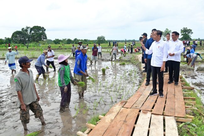 Presiden Joko Widodo didampingi Ibu Iriana Joko Widodo melakukan kunjungan ke Desa Layoa, Kabupaten Bantaeng, Provinsi Sulawesi Selatan, pada Jumat, 5 Juli 2024. Foto: BPMI Setpres