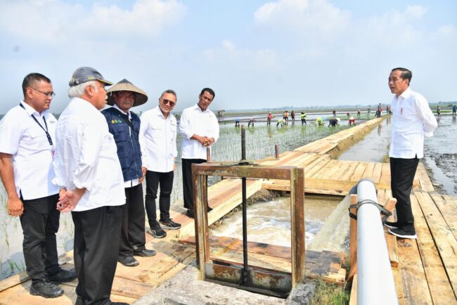 Presiden Joko Widodo melakukan peninjauan terhadap program pemberian bantuan pompa untuk pengairan sawah dan pertanian atau pompanisasi di Desa Bandan Hurip, Kabupaten Lampung Selatan, Provinsi Lampung pada Kamis, 11 Juli 2024. Foto: BPMI Setpres