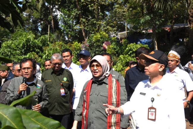 Direktur Jenderal Pengelolaan DAS dan Rehabilitasi Hutan Kementerian LHK, Dyah Martiningsih disambut penari Dayakan di Desa Ngadi, Salaman, Kamis (19/9/2024).