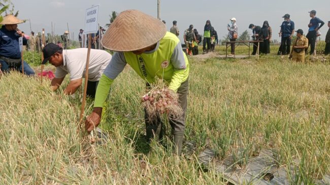 Foto: Humas Prokompim Kabupaten Magelang